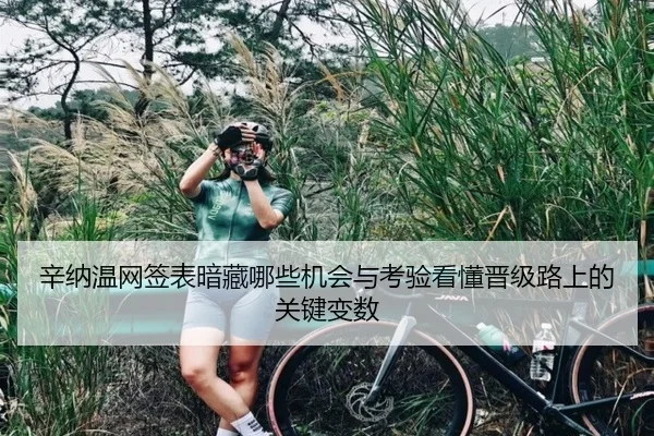 辛纳温网签表暗藏哪些机会与考验看懂晋级路上的关键变数